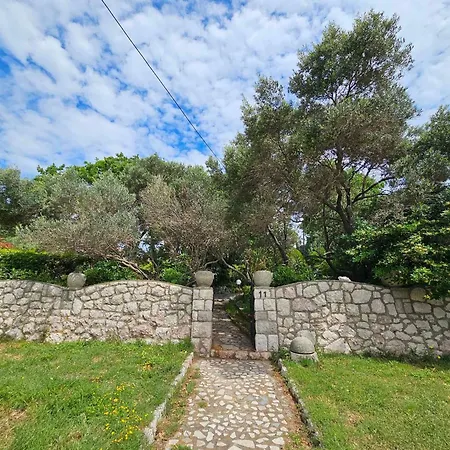 Apartamento In 15285 *